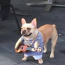 VSL Company LTD avatar